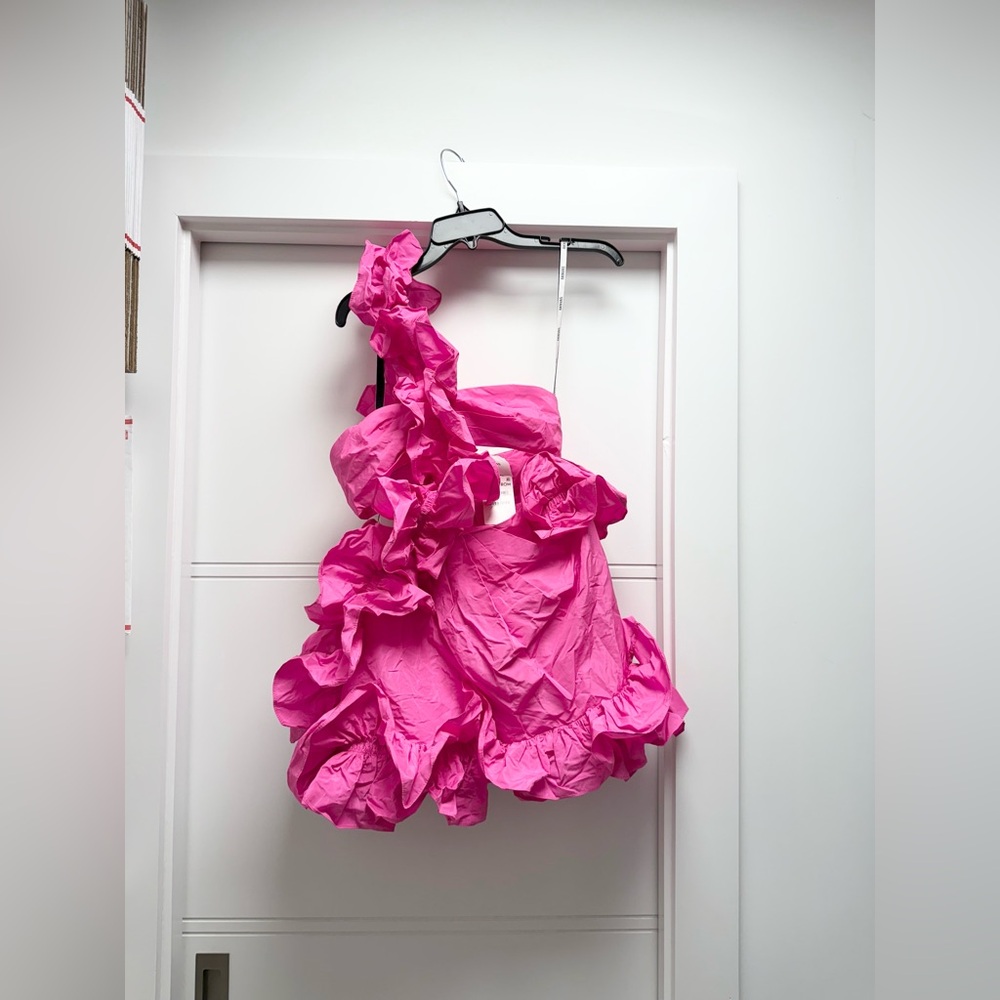 AKNVAS Ruby Ruffle Mini Dress - Picture 6 of 11